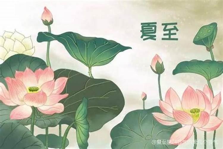 夏至是24节气的第几个
