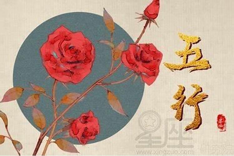大海水命的人缺什么