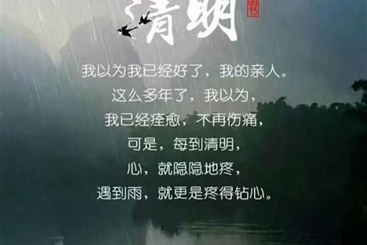 上海清明节游玩踏青的好地方有哪些