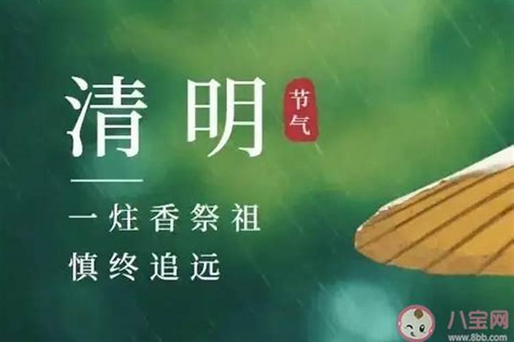 清明节要去上海出差,那时候上海有什么好玩的嘛