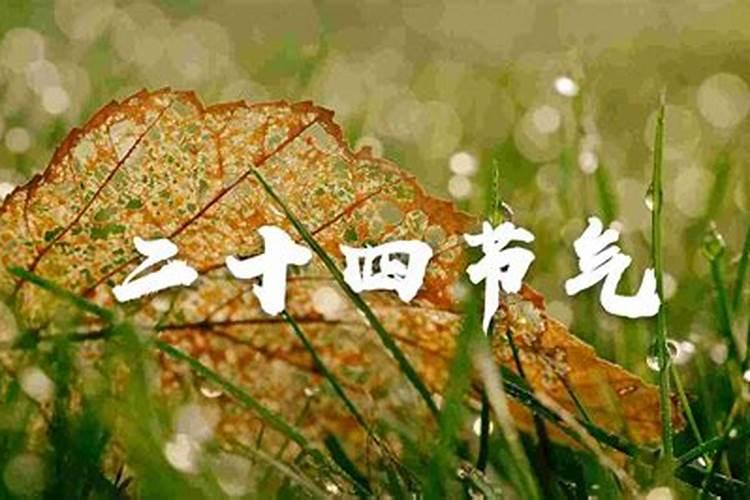 梦见别人的脸变白了的预兆