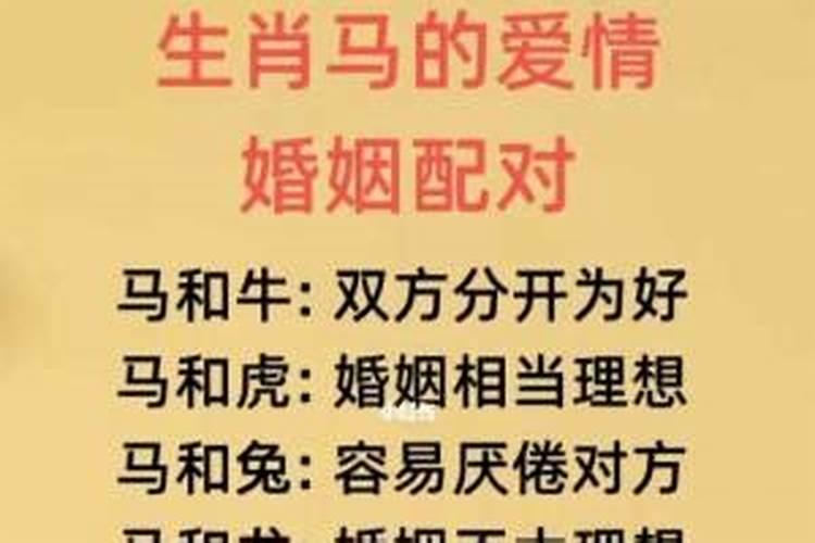 双子座男生性格特点优缺点