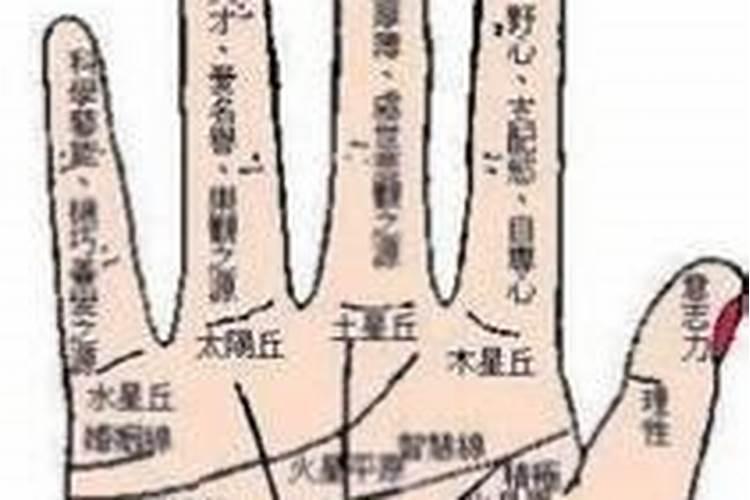 1983年属猪的是什么命农历5月5生 金木水火土