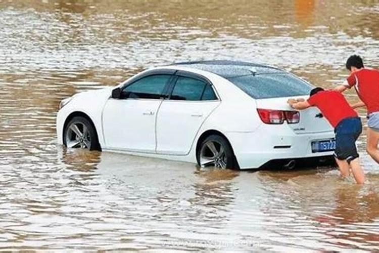 梦见水涨遇到大海龟