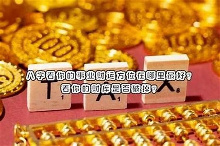 梦见我买了一只可爱的猫的预兆