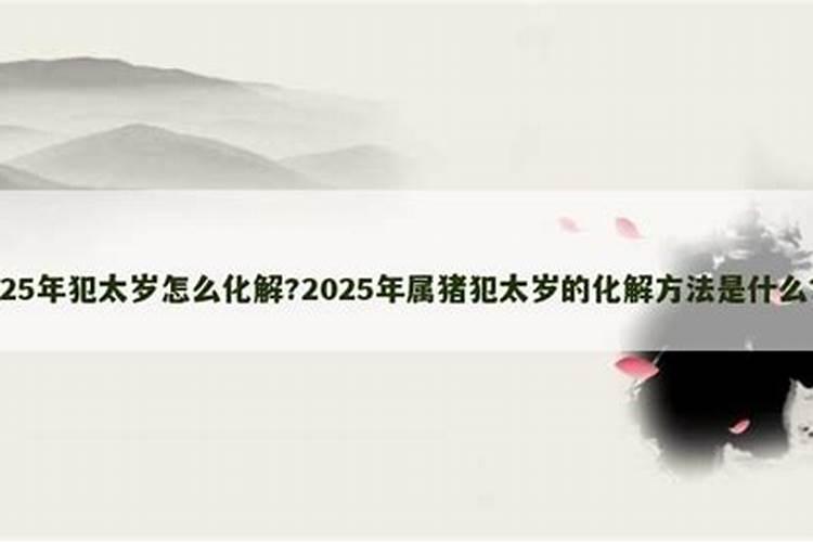 属猪犯太岁佩戴什么化解