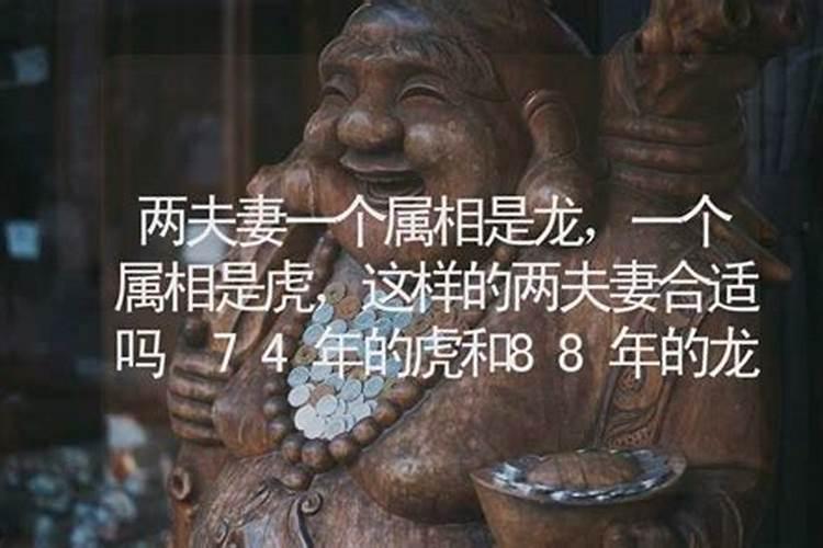 夫妻两个都属虎好不好 虎虎相争需退步？