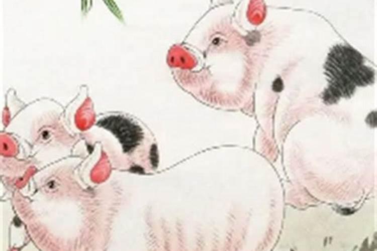 1995属猪一生大劫年 一生有三劫？