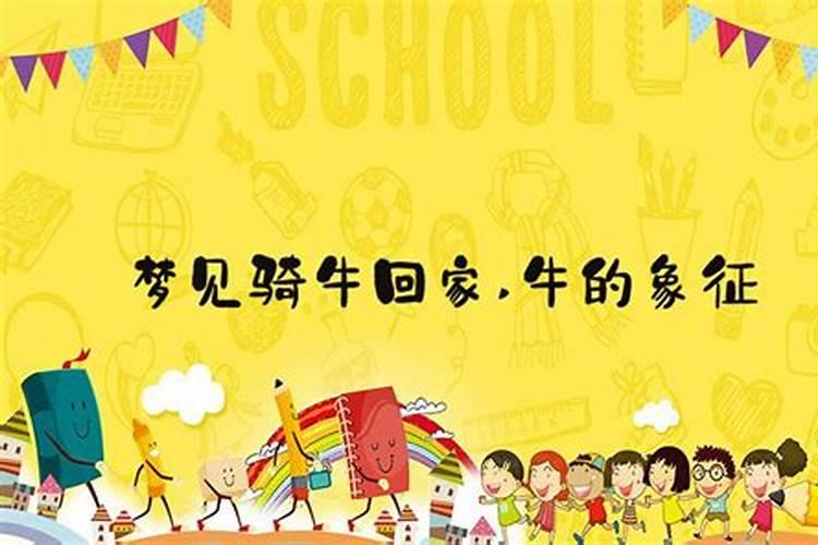 马跟马的属相合不合