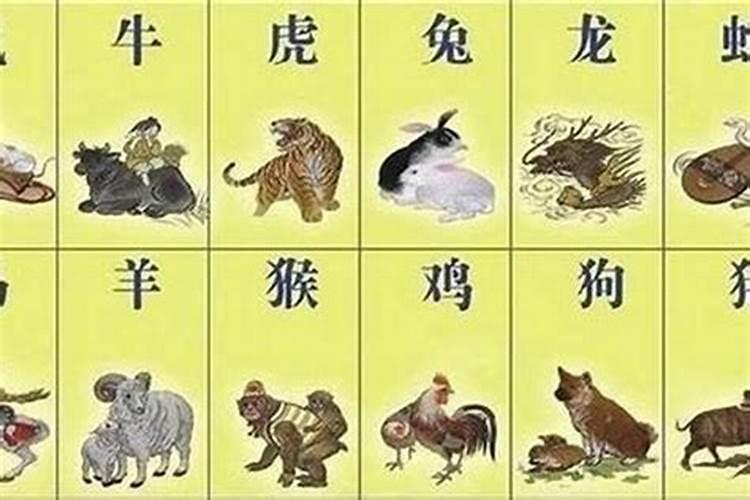 属相与人的命运有关系吗？