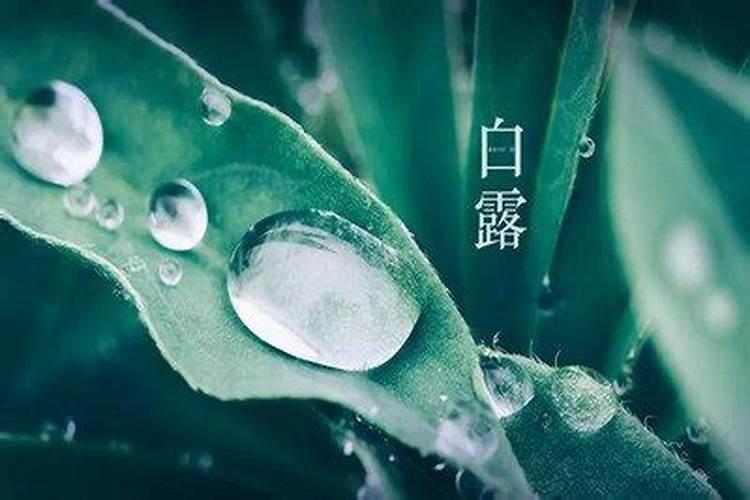 1968年猴2025年属猴人的全年运势