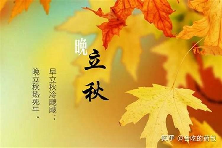明年什么属相犯太岁2025