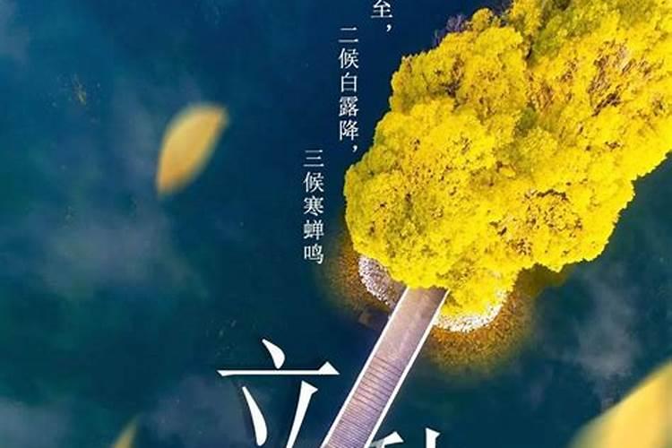 属兔的女人嫁给属猪的怎么样 属兔的女人和属猪的男人相配吗