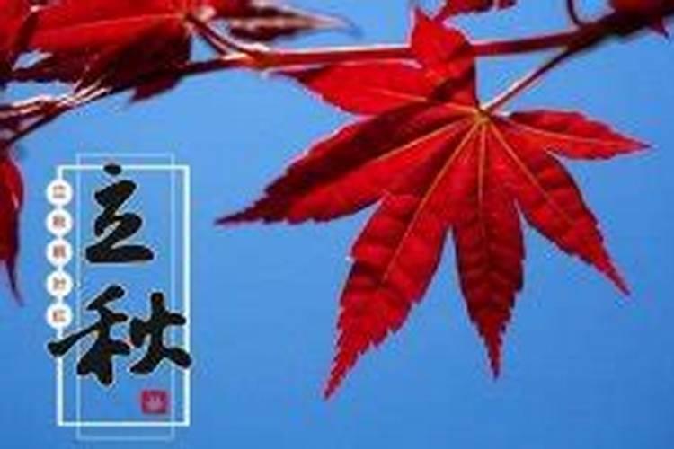 八字合婚:属兔和属猪的合财吗 婚配好不好呢