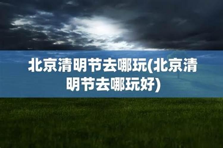天蝎座2025年的全年运势
