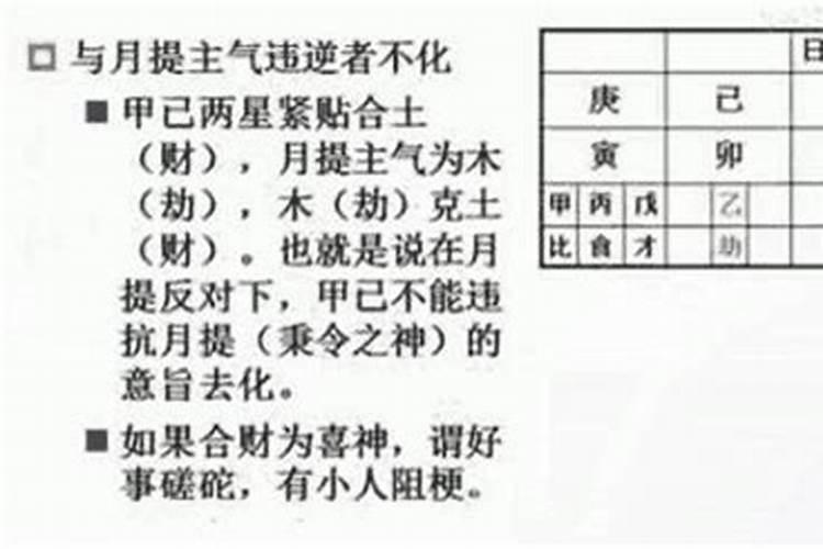 八字有戊癸合火的人