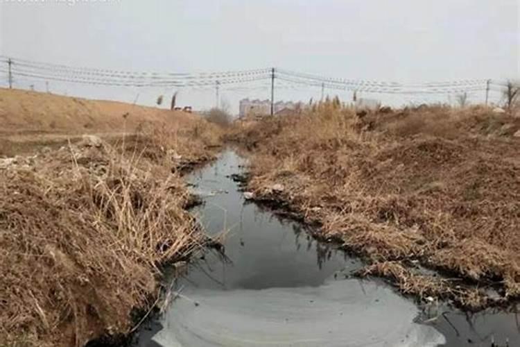 梦见水沟