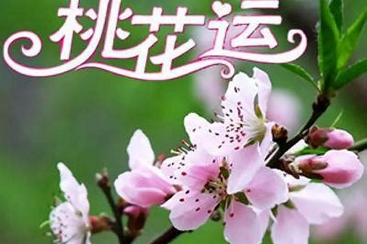 2025年广州地铁在春节期间的运行时间安排表是怎样的