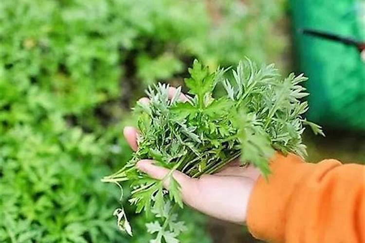 武汉中秋节有什么活动