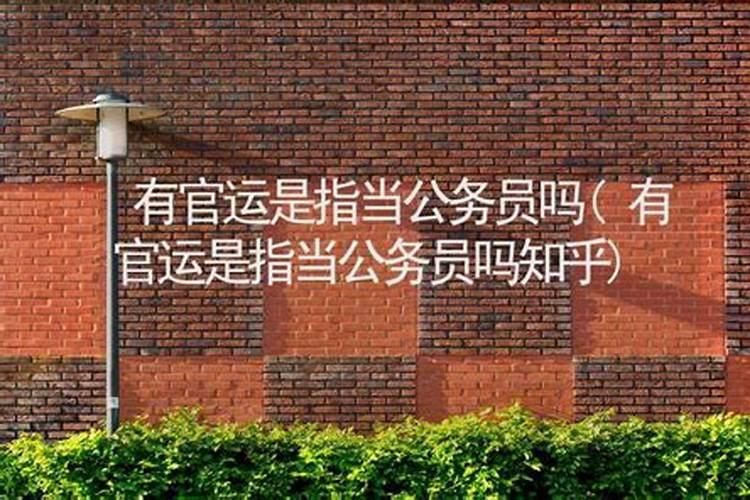 女人有官运是什么意思