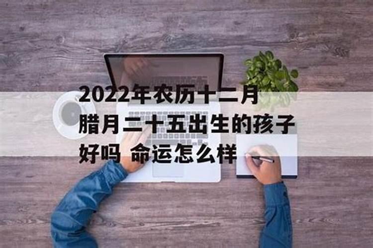 85年牛2025年运势及运程