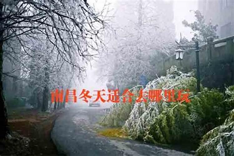 江西冬至吃什么食物
