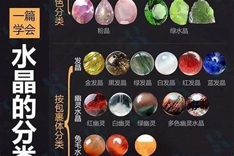 2025年是属什么年 农历