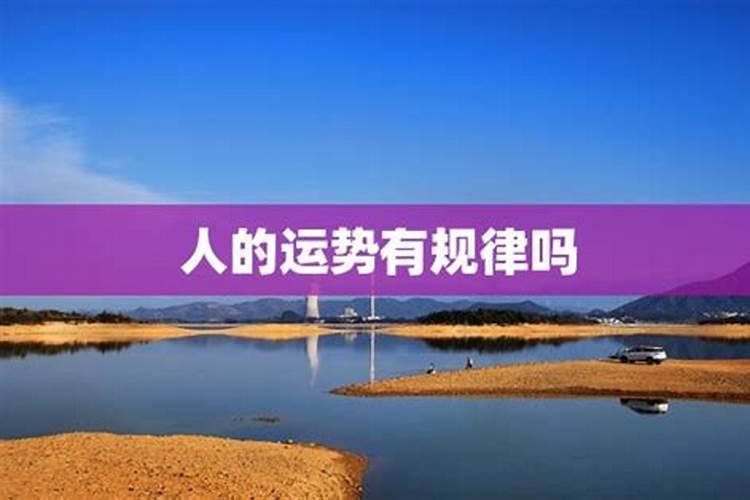 梦见老婆离开了我的预兆