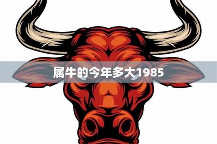 给亲人上坟的心情说说 上坟怀念亲人说说