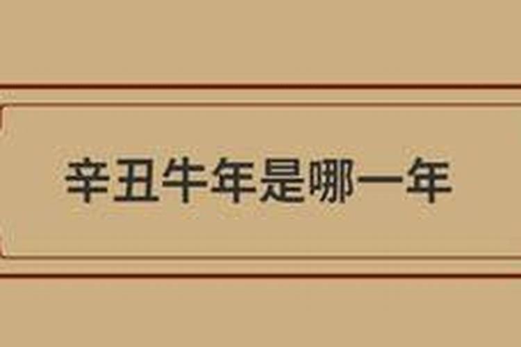歳次辛丑是什么意思？