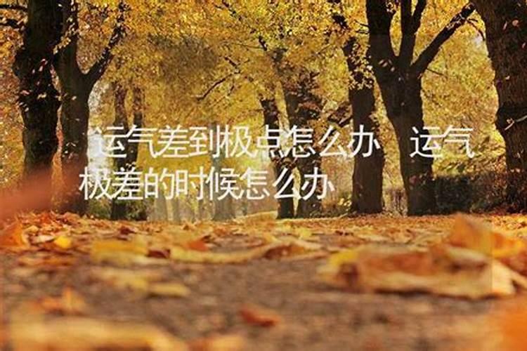 形容一个人走好运的词语