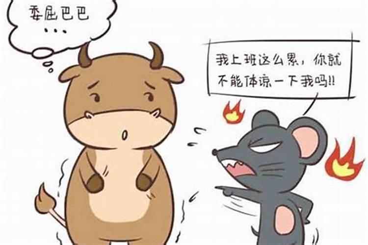 1996年属鼠男最佳婚配表,属鼠男与谁最配八字合婚