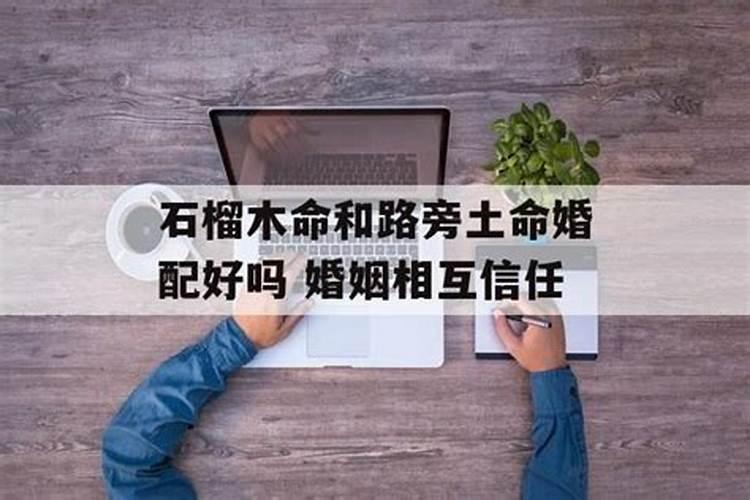 董易奇2024年十二生肖的运程
