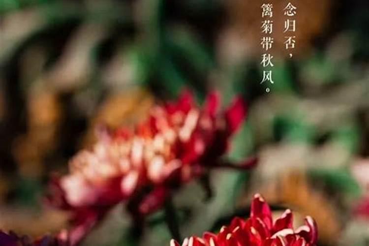 什么是命理学呢？