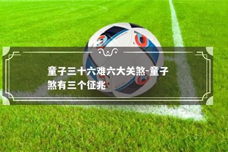 属鸡2025年运势及运程