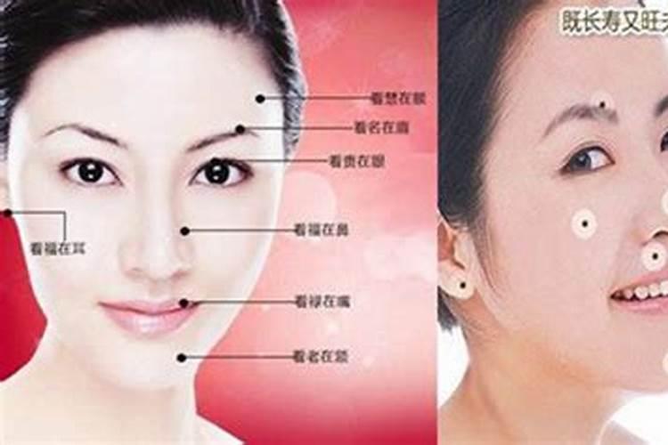梦见大蟒蛇追着我跑的预兆
