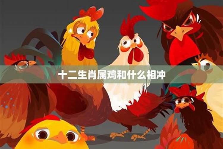 银川英皇留学:为什么那么多人去墨尔本留学