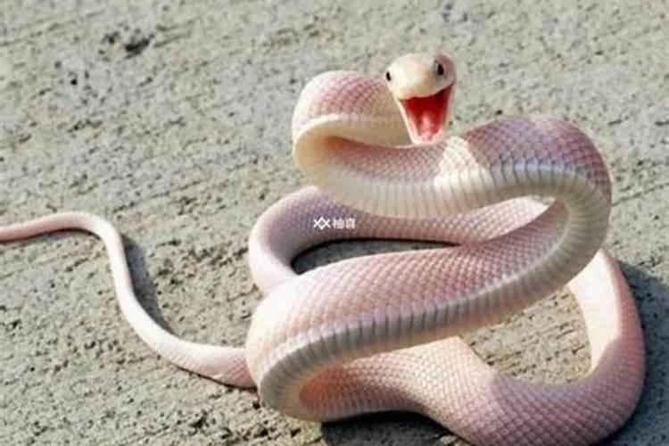 意外怀孕,老公让打掉,这样的男人心狠吗？