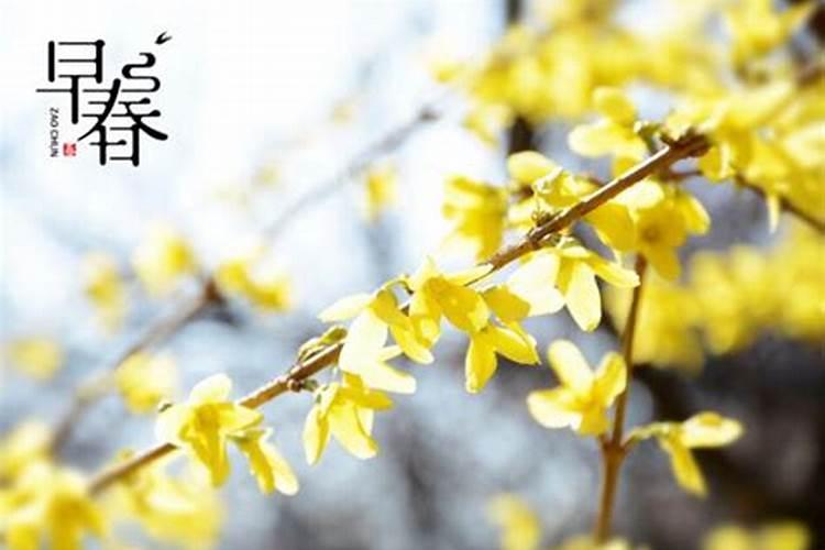 财神爷的生日是什么节日
