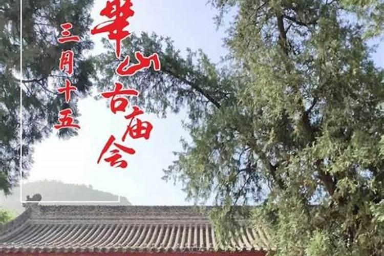 社区趣味运动会活动方案