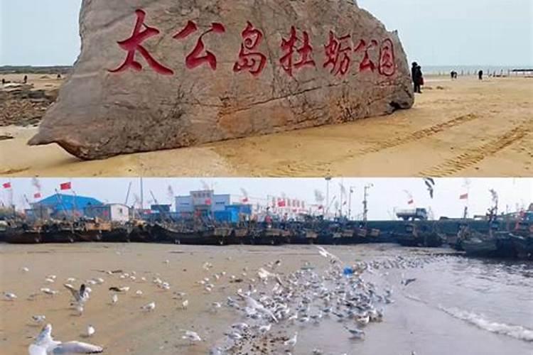 周公解梦梦见狮子 梦到狮子代表了什么