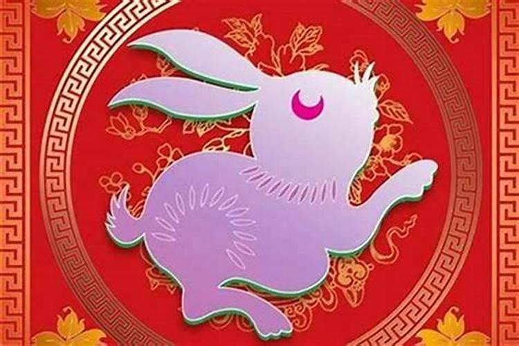 虎和兔在一起对谁不利