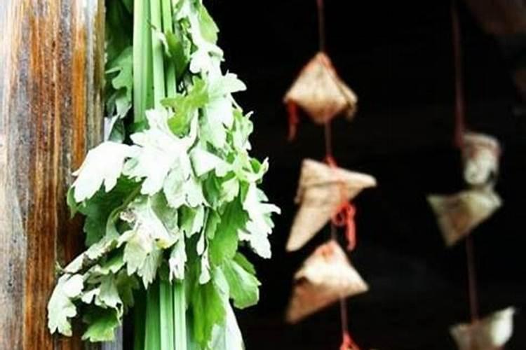 端午节挂艾草正确位置