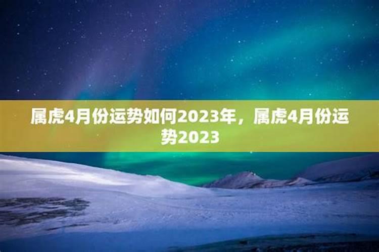 冬至开什么花生肖最旺呢