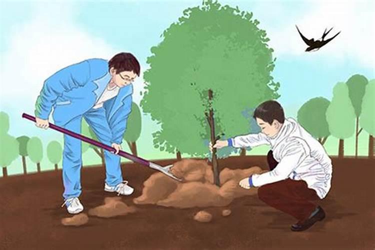 女人梦见移栽桃树是怎么回事