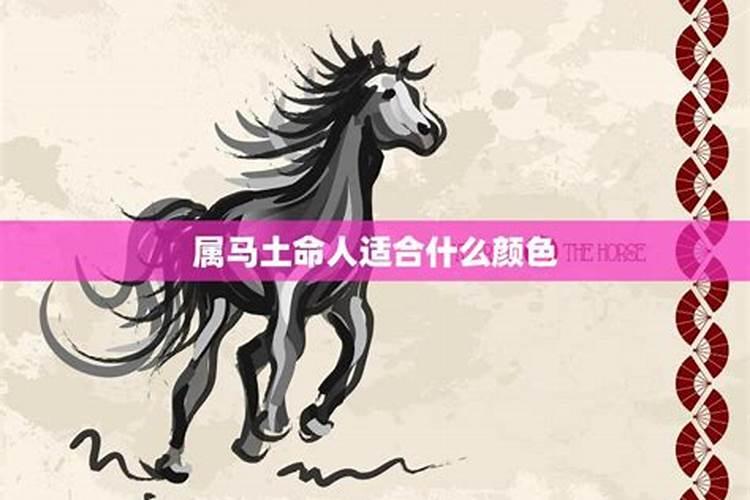 土命适合养什么颜色