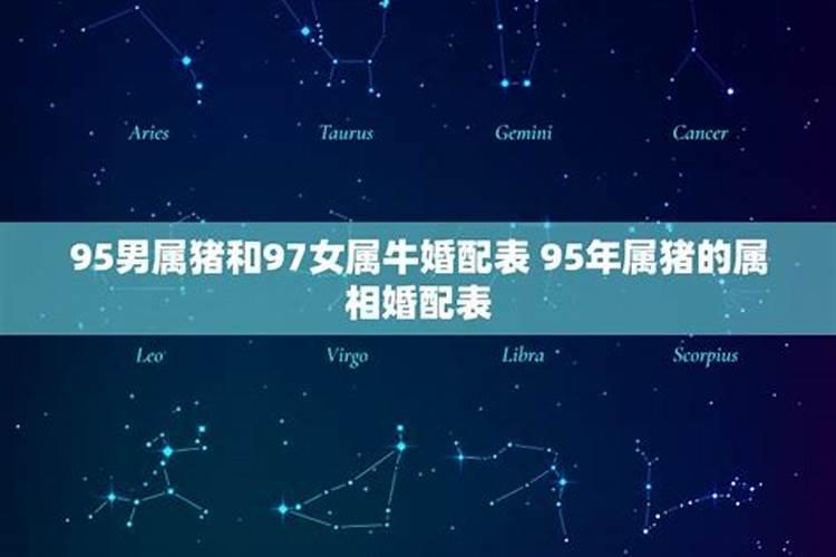 梦见龙在天上飞预示着什么