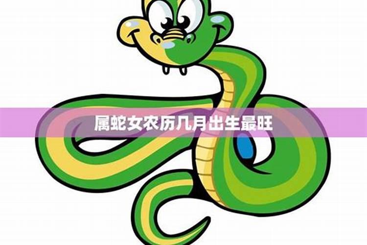 农历八月蛇男命好吗,生肖蛇女八月出生好吗