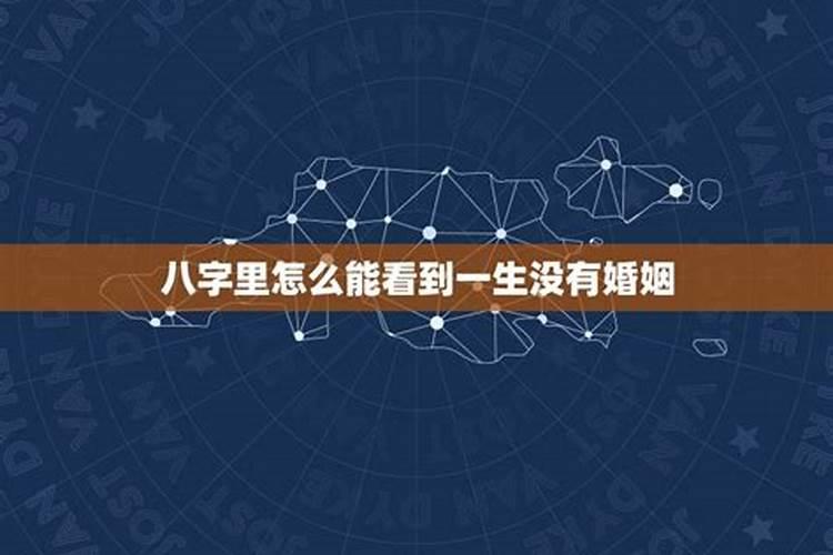 属鸡的子时出生的命运好不好