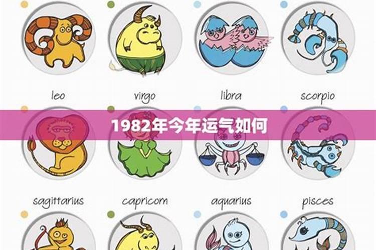 82年属狗人未来五年的运势及运程